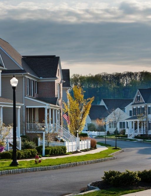 neighborhood with houses