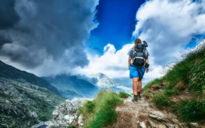 Echelon: A Customized Approach to Get Back on Course!
